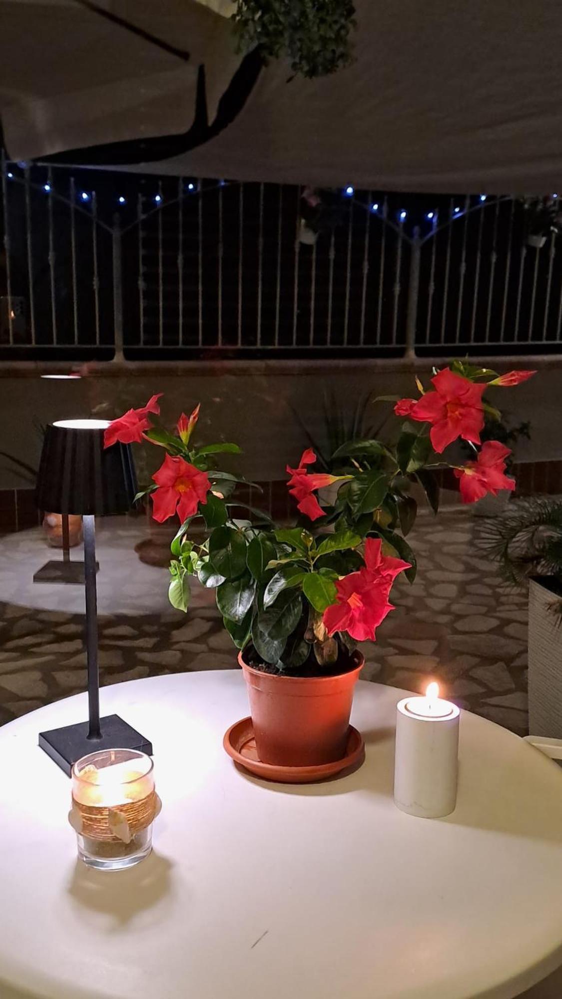 テルモリ Tramonto Sul Mare Bed & Breakfast エクステリア 写真
